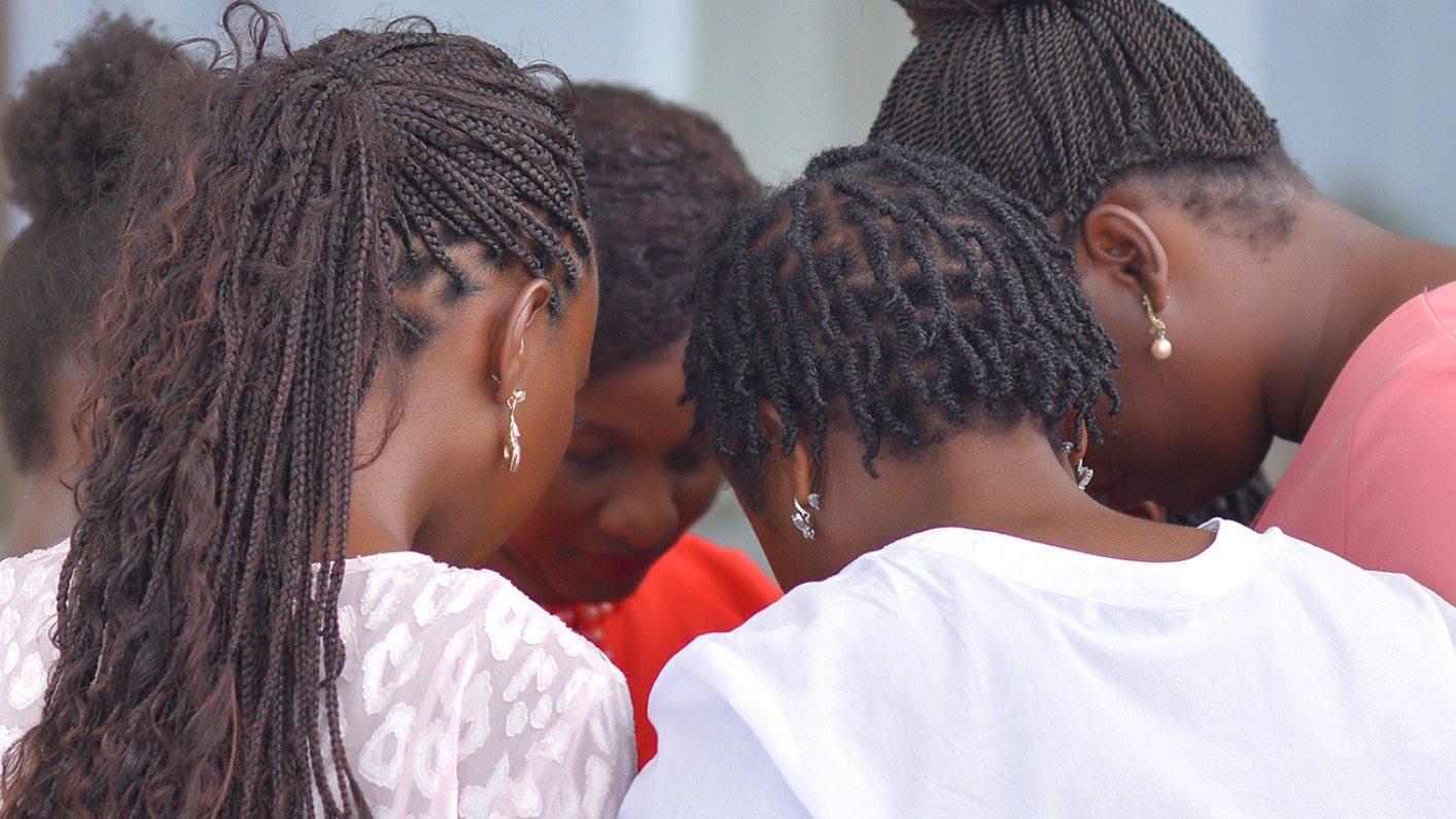 The Brook Experience